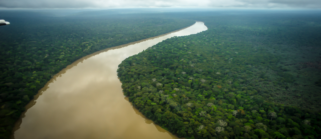 WWF Le foreste che curano