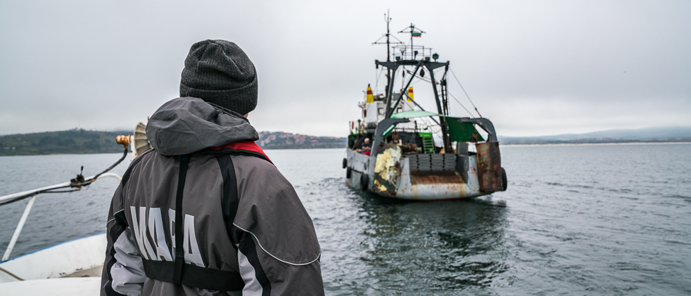 FAO/GFCM, Fisheries in the Black Sea